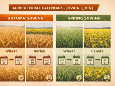 تقویم کشت جوین برای کاشت پاییزه و بهاره — تقویم کشت جوین